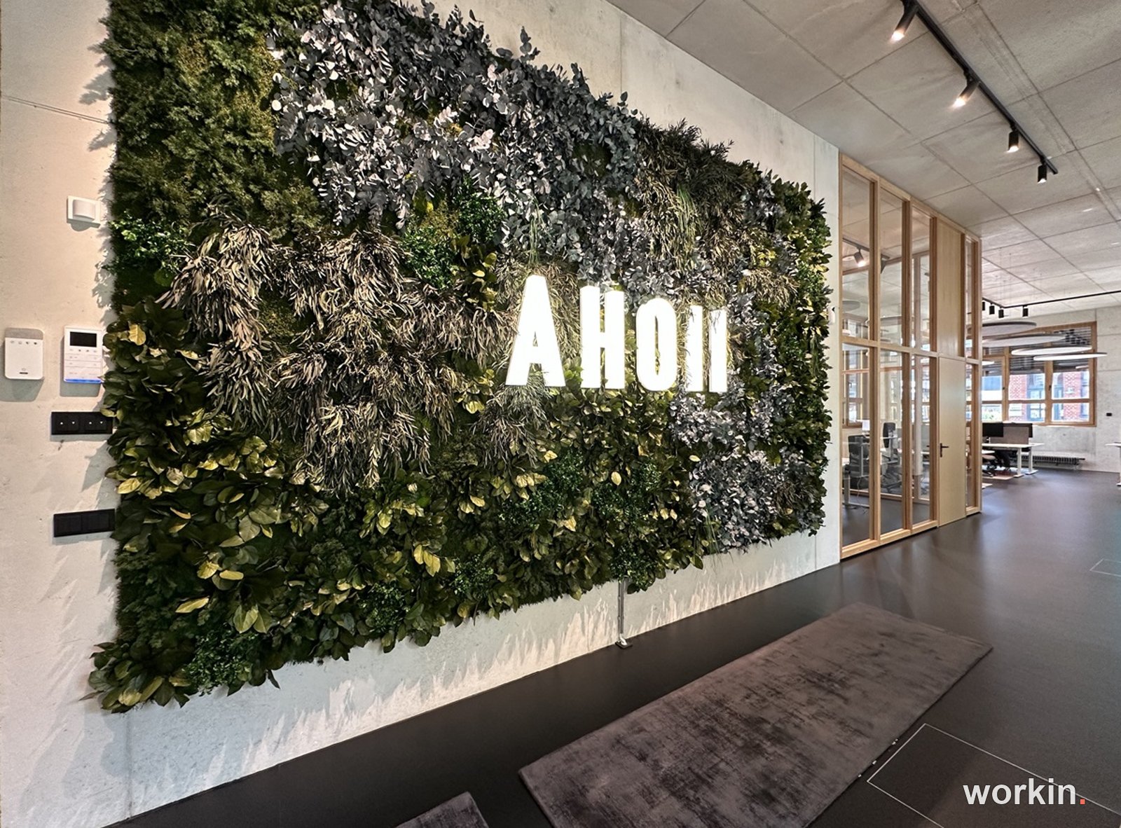 AHOII Networking Unit. Projektfoto