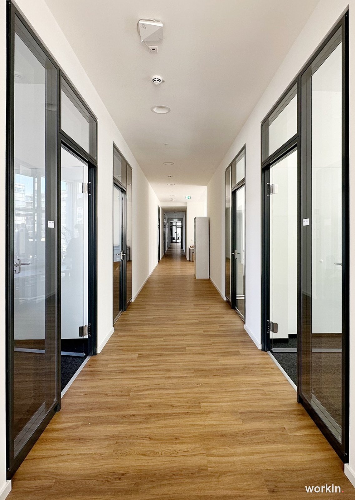 W. MARKGRAF GmbH & Co KG · HafenCity