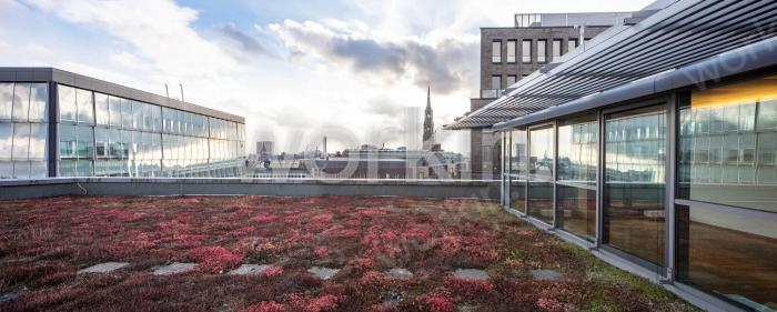 Büro mieten Hamburg-Altstadt (City): Lombardhaus, Pelzerstraße 9-13. nahe Hauptbahnhof. Foto 5